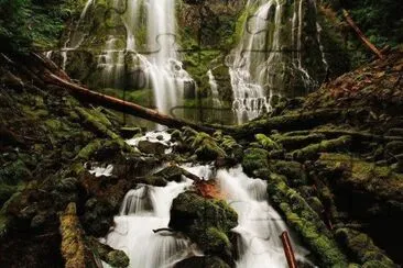 FaraÃ³n