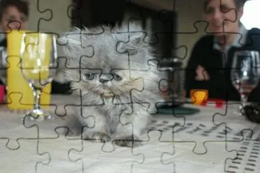 MARSU jigsaw puzzle