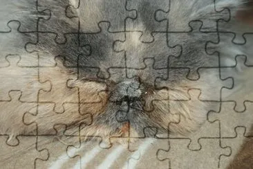 MARSU jigsaw puzzle