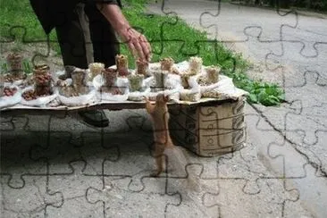 MARSU jigsaw puzzle