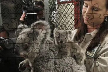 MARSU jigsaw puzzle