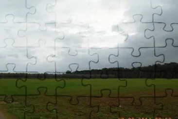 grano