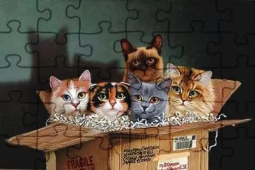 פאזל של Gatos