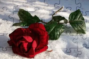 g jigsaw puzzle