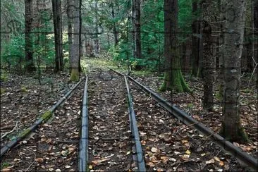 ferrocatrenes
