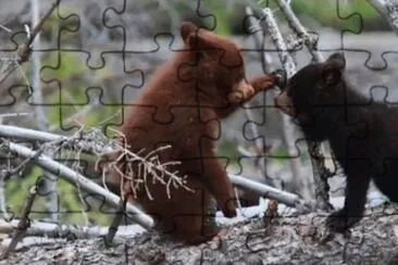 MARSU jigsaw puzzle