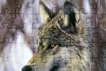 MARSU jigsaw puzzle