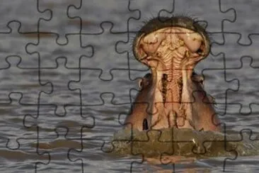 MARSU jigsaw puzzle