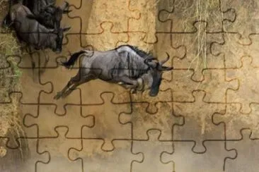 MARSU jigsaw puzzle