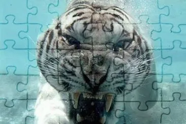 MARSU jigsaw puzzle