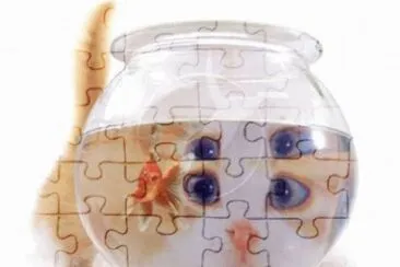 MARSU jigsaw puzzle