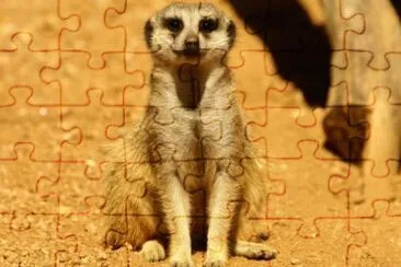 MARSU jigsaw puzzle