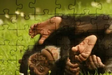 MARSU jigsaw puzzle