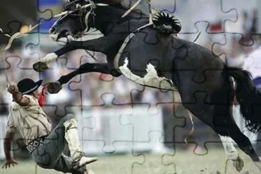MARSU jigsaw puzzle
