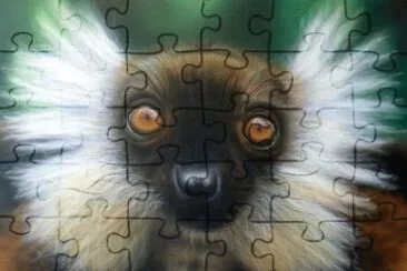 MARSU jigsaw puzzle
