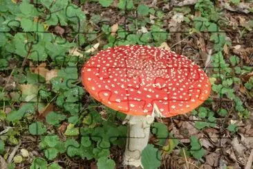 Standalone jigsaw puzzle