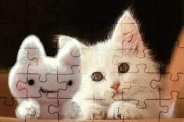a  jigsaw puzzle