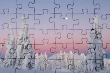 MARSU jigsaw puzzle