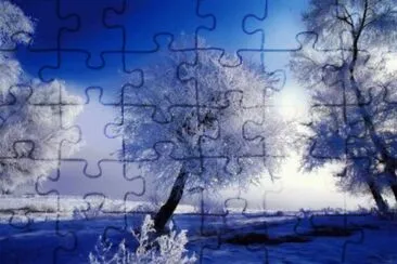MARSU jigsaw puzzle