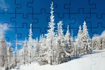 MARSU jigsaw puzzle