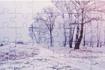 MARSU jigsaw puzzle