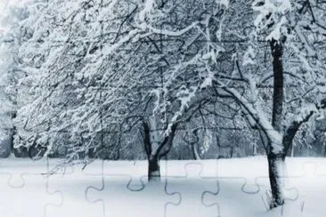 MARSU jigsaw puzzle