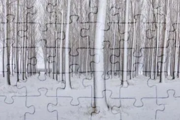 MARSU jigsaw puzzle