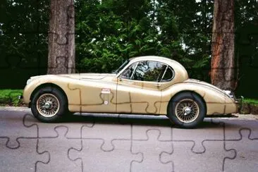 FaraÃ³n jigsaw puzzle