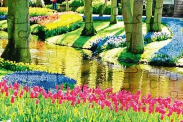 Parque de colores