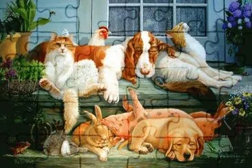 amigos jigsaw puzzle