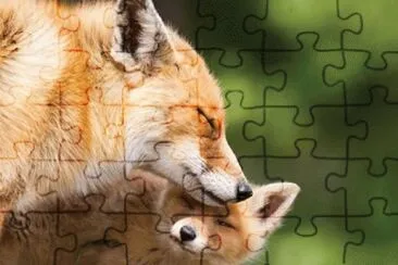mother fox and baby fox jigsaw puzzle