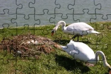 MARSU jigsaw puzzle