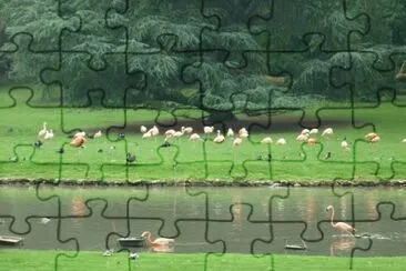 MARSU jigsaw puzzle