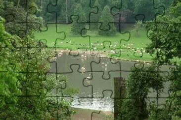 MARSU jigsaw puzzle