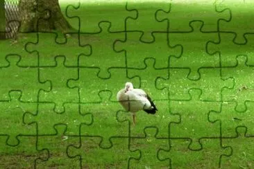 MARSU jigsaw puzzle