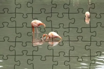 MARSU jigsaw puzzle