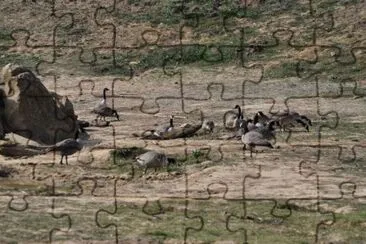 MARSU jigsaw puzzle