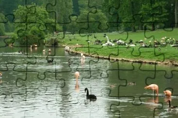 MARSU jigsaw puzzle