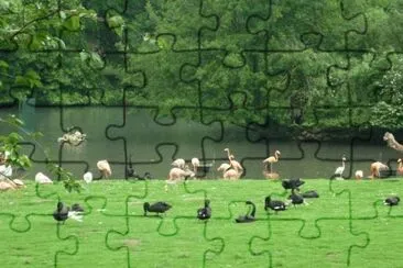 MARSU jigsaw puzzle