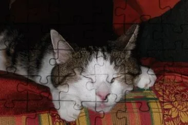 MARSU jigsaw puzzle