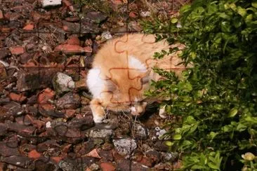 MARSU jigsaw puzzle