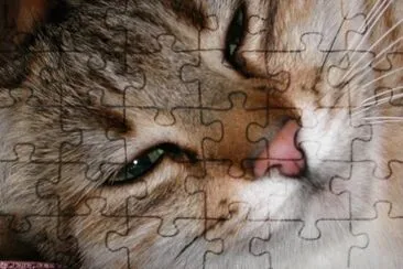 MARSU jigsaw puzzle