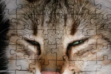 MARSU jigsaw puzzle