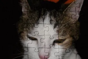 פאזל של MARSU