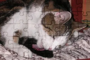 MARSU jigsaw puzzle