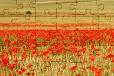 MARSU jigsaw puzzle