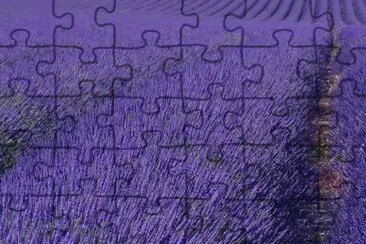 MARSU jigsaw puzzle