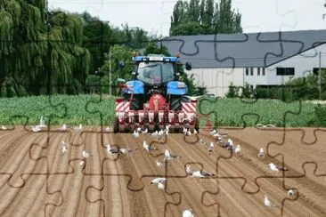 MARSU jigsaw puzzle