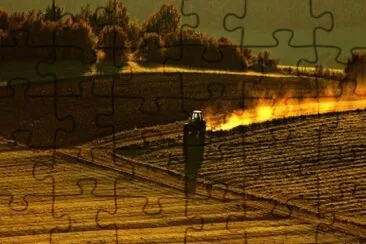 MARSU jigsaw puzzle