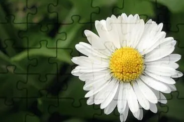 MARSU jigsaw puzzle